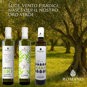 "Gold Bio", italiensk, økologisk, frugtig og intens, 500 ml